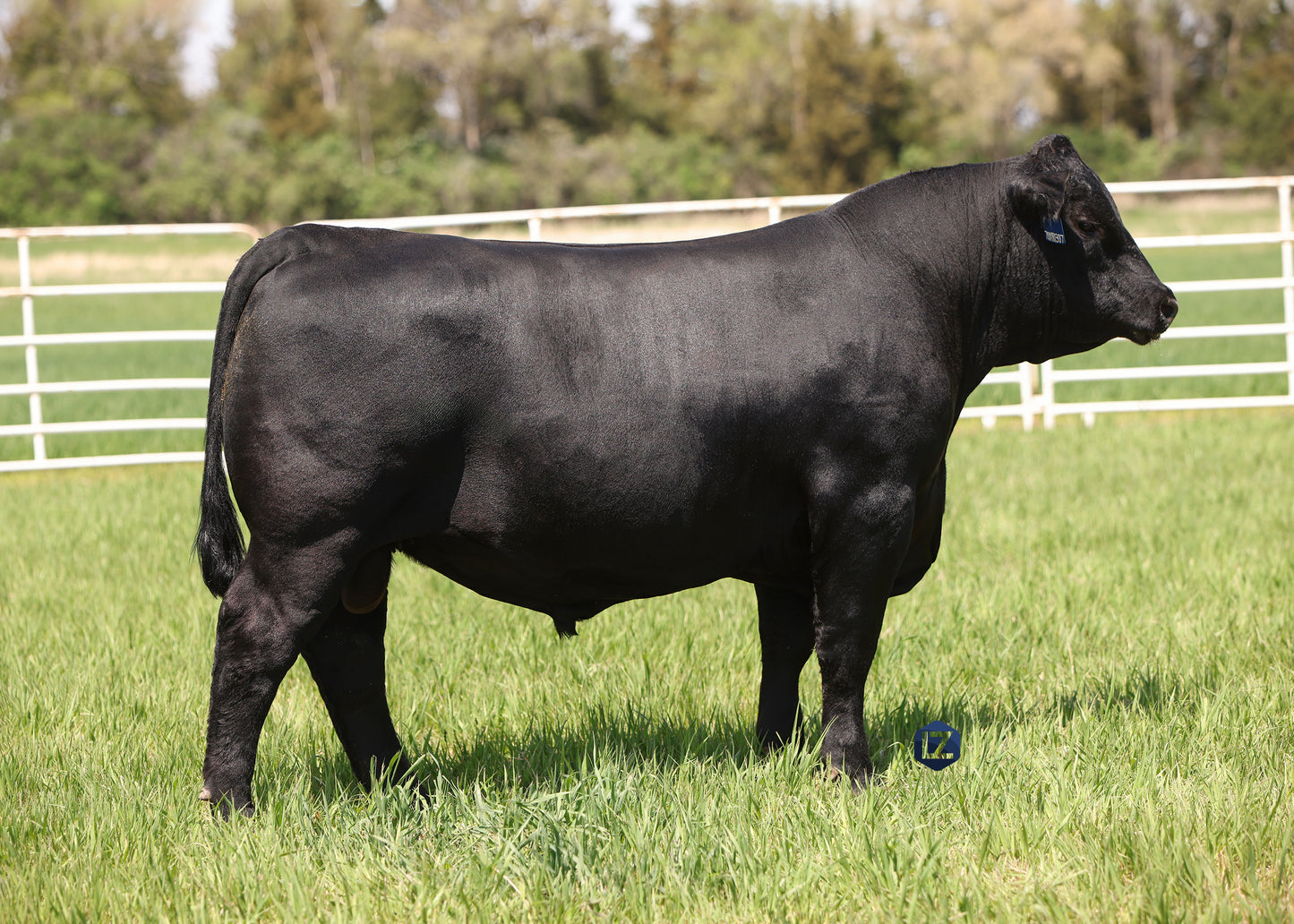 Lot M2 - 5 Units of CA/MAR Lazarus 491 Reg: AAA +*20863466