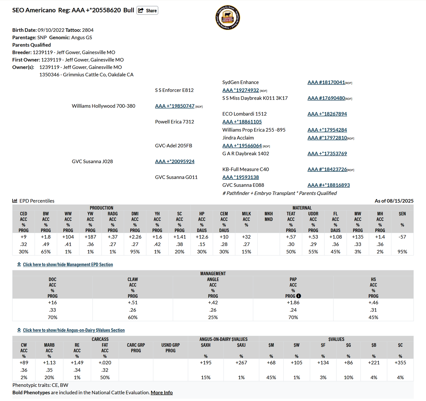 Lot O2 - 5 units of SEO Americano Reg: AAA +*20558620