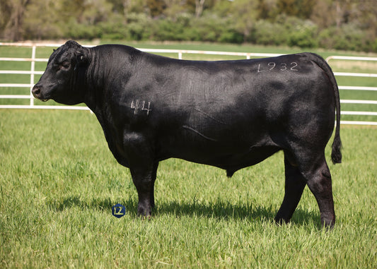 Lot C2 - 5 Units of 44 Major Gaines L932 Reg: AAA +*20878976